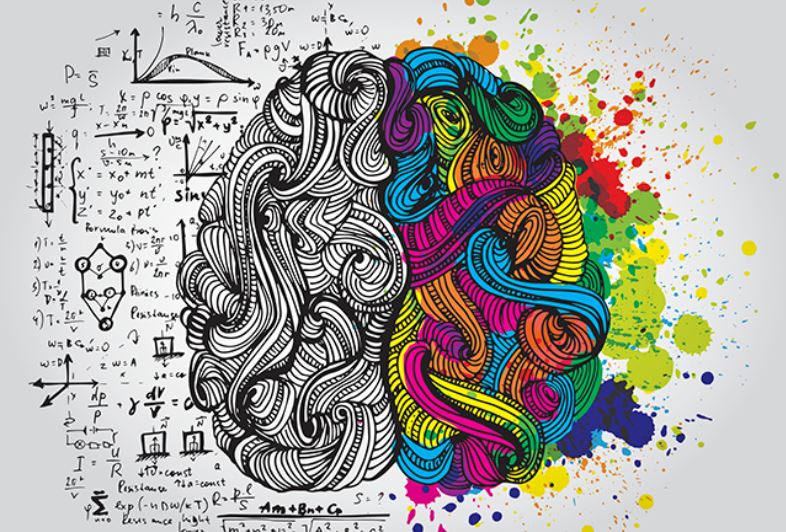 brain 2